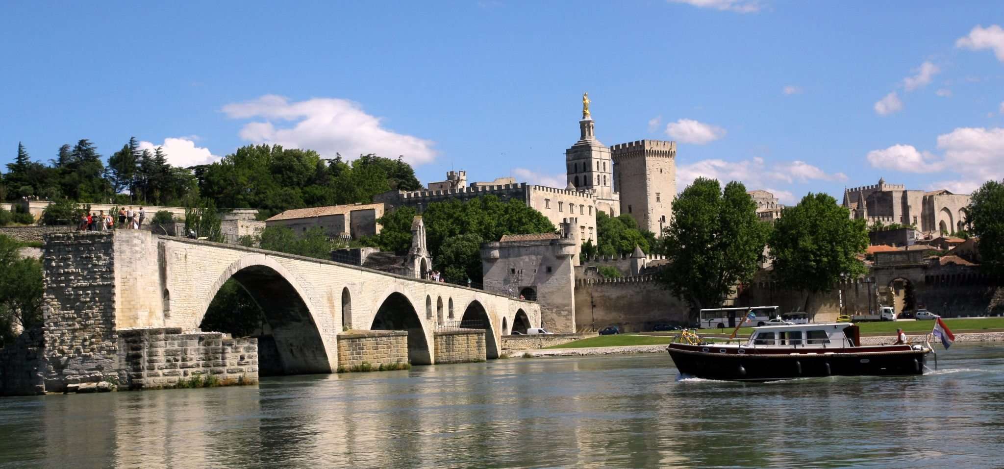 Vue d'Avignon au bord du Rhône avec son chien
