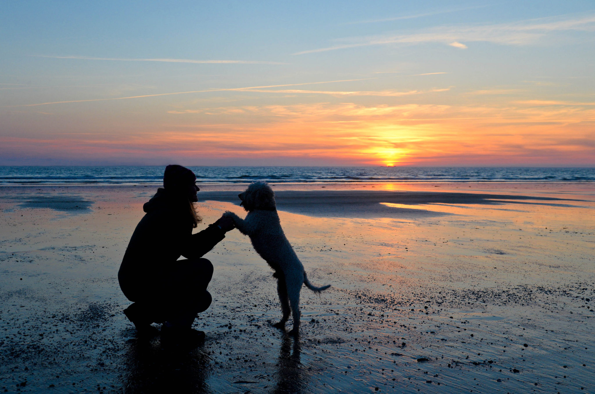 Espagne ~ Vacances avec mon chien