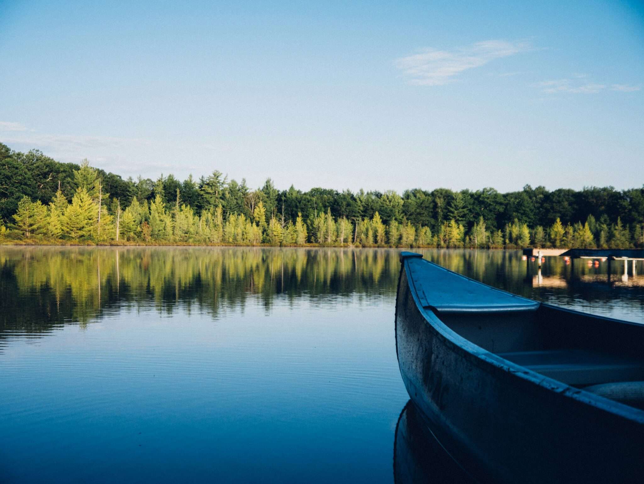 Lac de Sanguinet dans les Landes avec un chien
