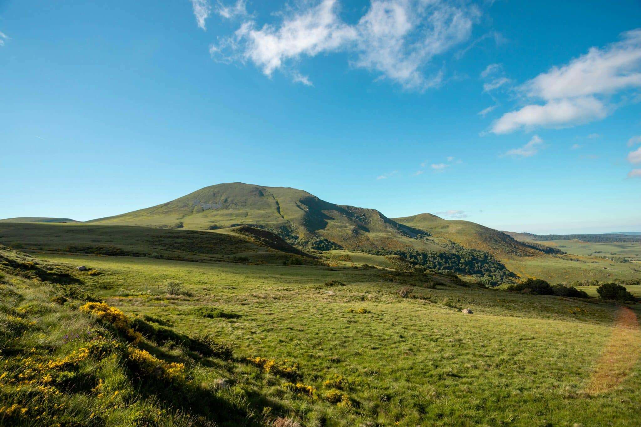 Le Cantal et l'Auvergne avec son chien : volcans endormis et prairies d'estive