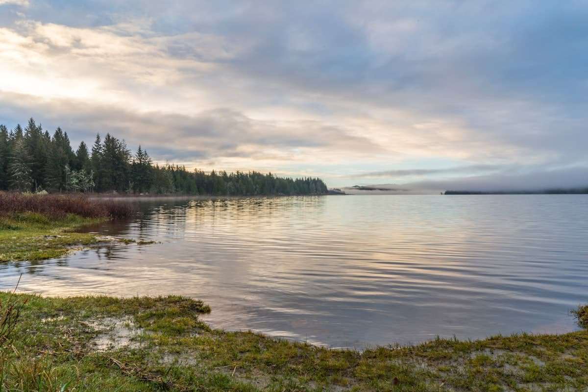 Lac landais avec plage de sable et forêt de pins, baignade avec chien