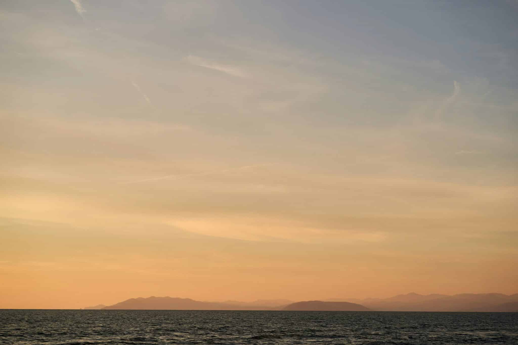 Voyage à l'étranger avec son chien