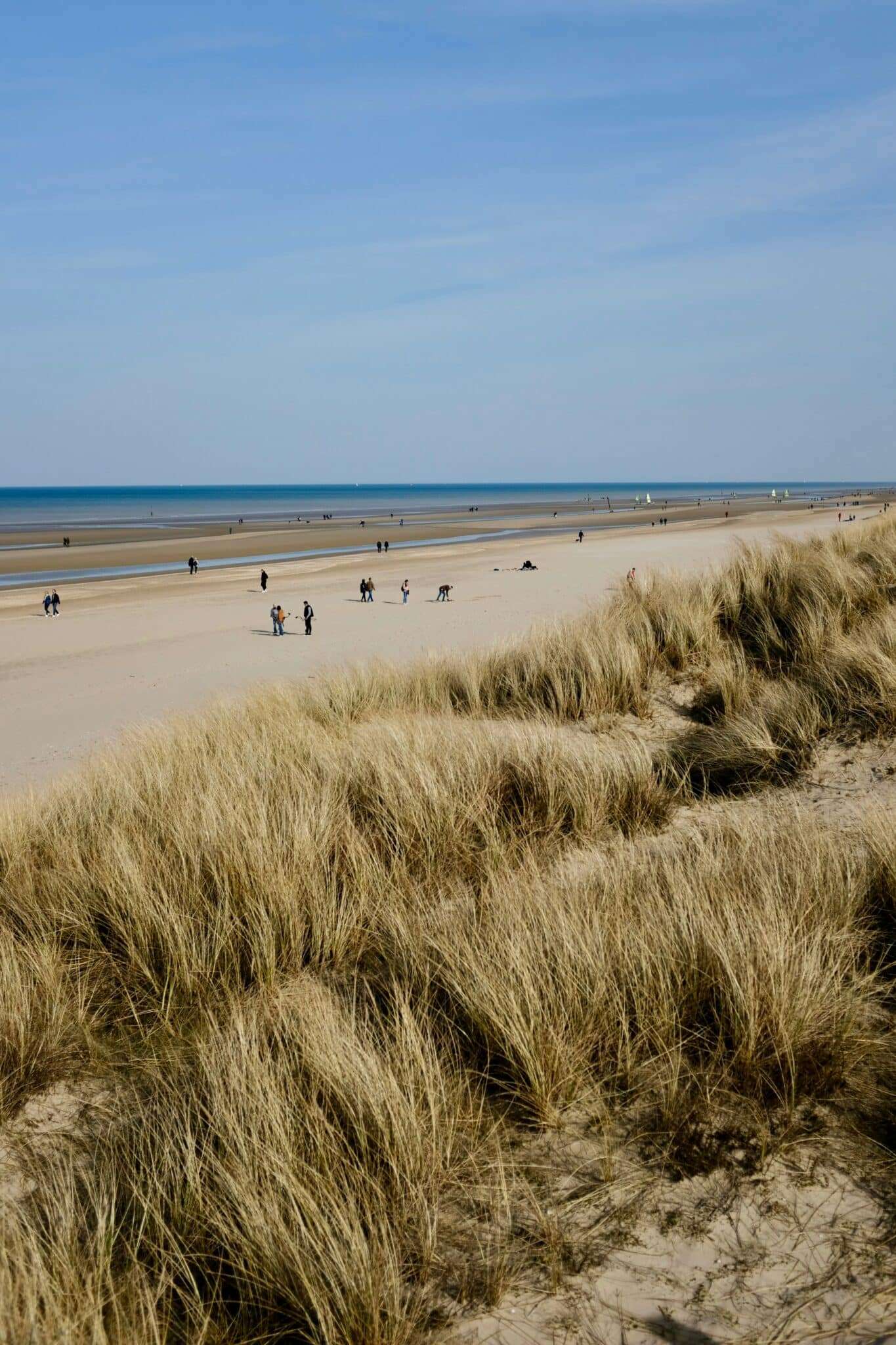 Plage de sable avec dunes sur la Côte belge à De Panne