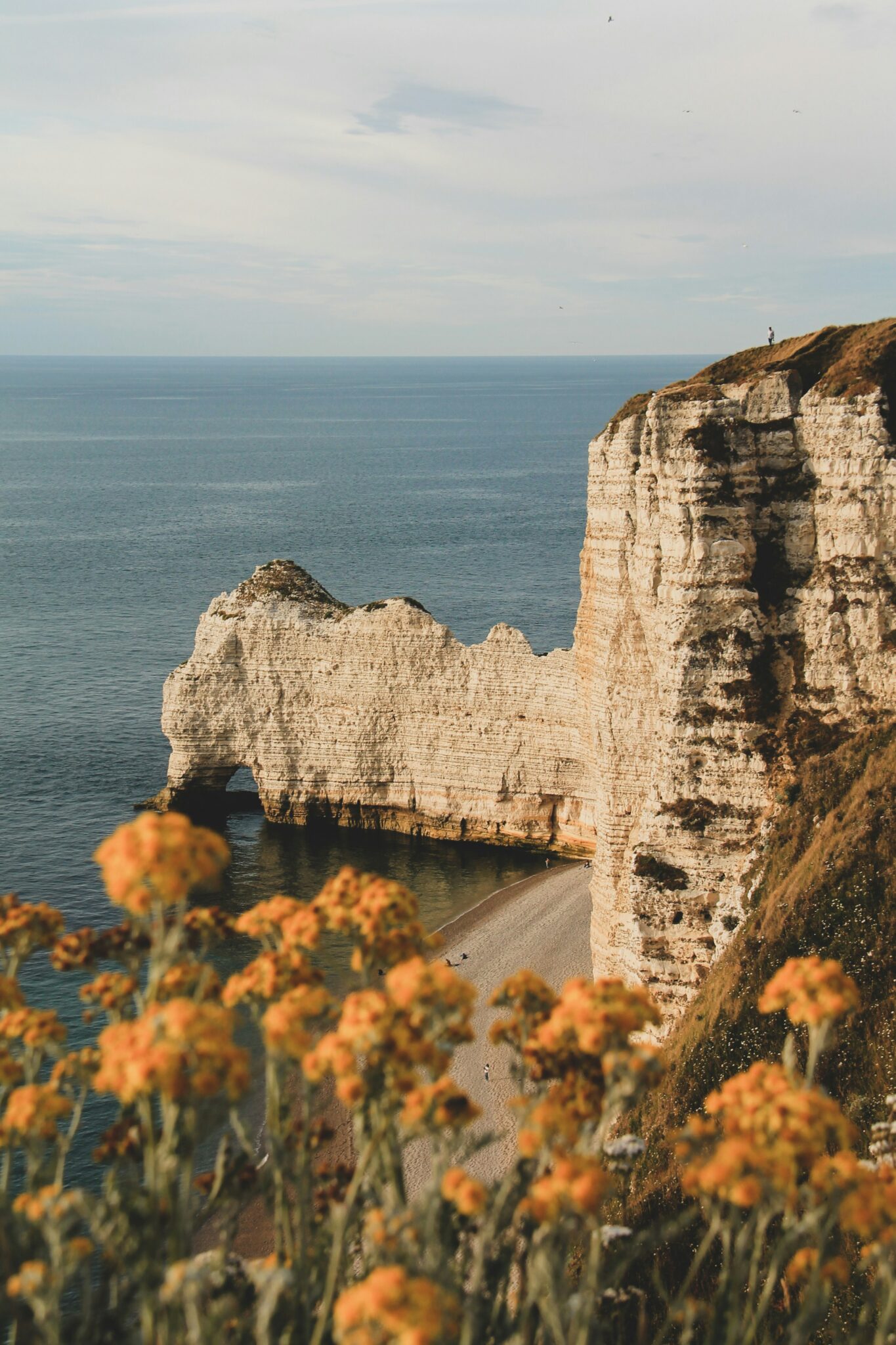 Falaises de craie d'Étretat face à la Manche en Normandie