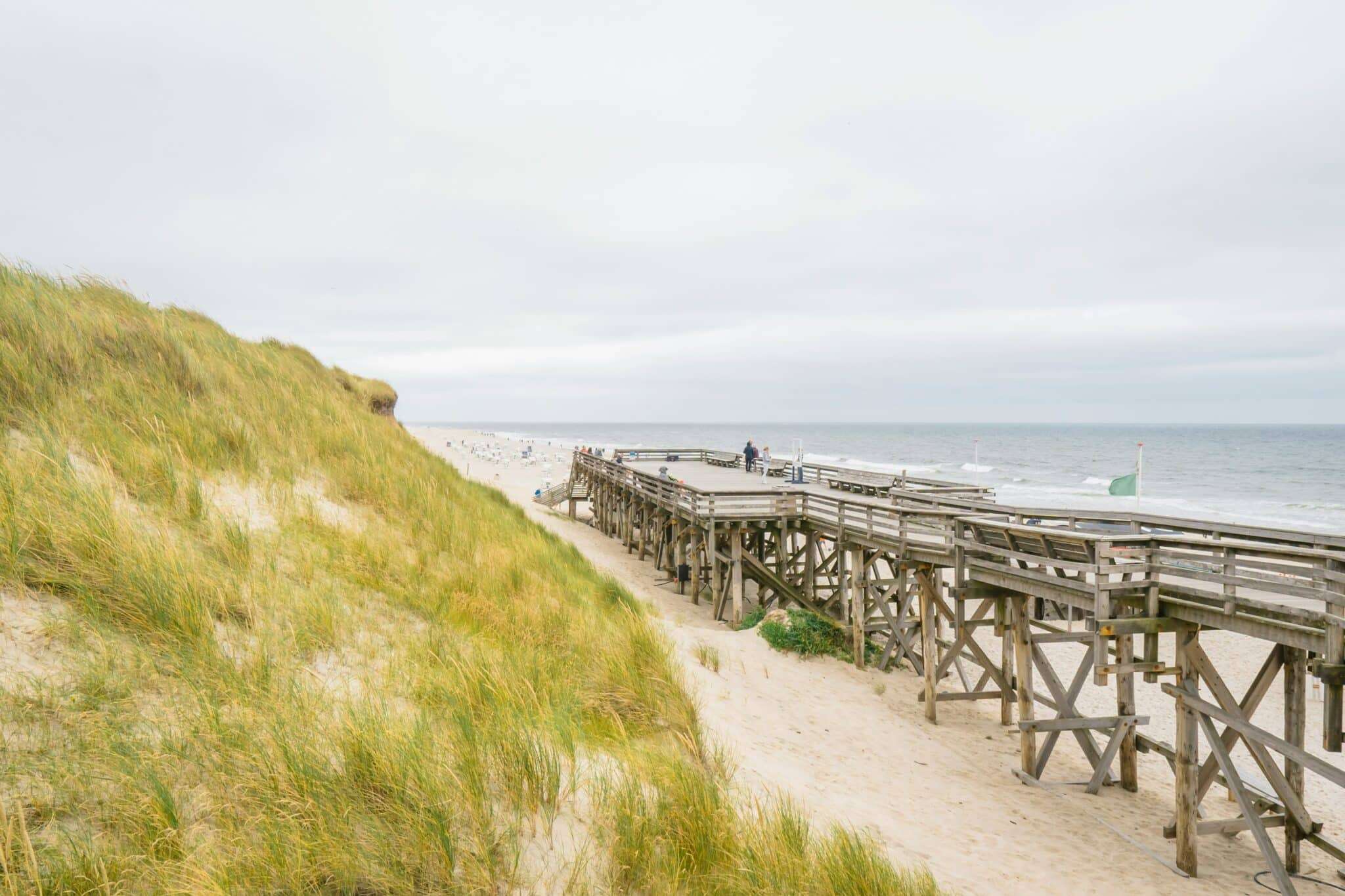 Chien sur un steg en bois à côté de poteaux sur la plage de Sylt