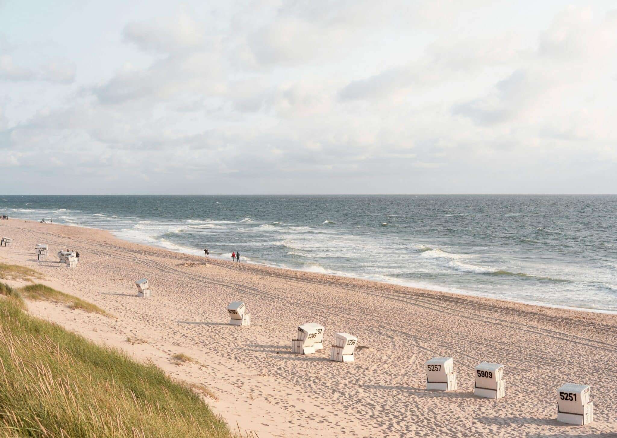 Plage de Sylt avec un chien en mer du Nord