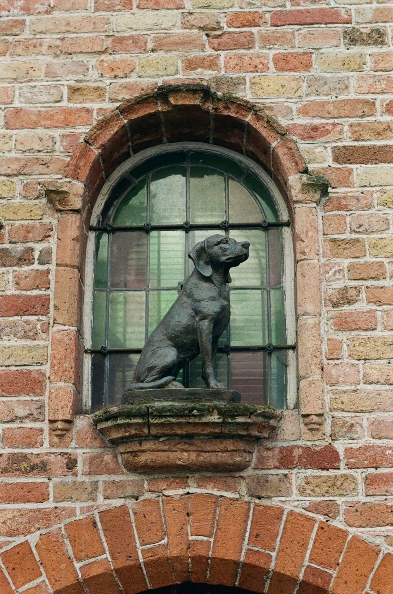 Statue de chien sur un rebord de fenêtre dans le centre historique de Bruges
