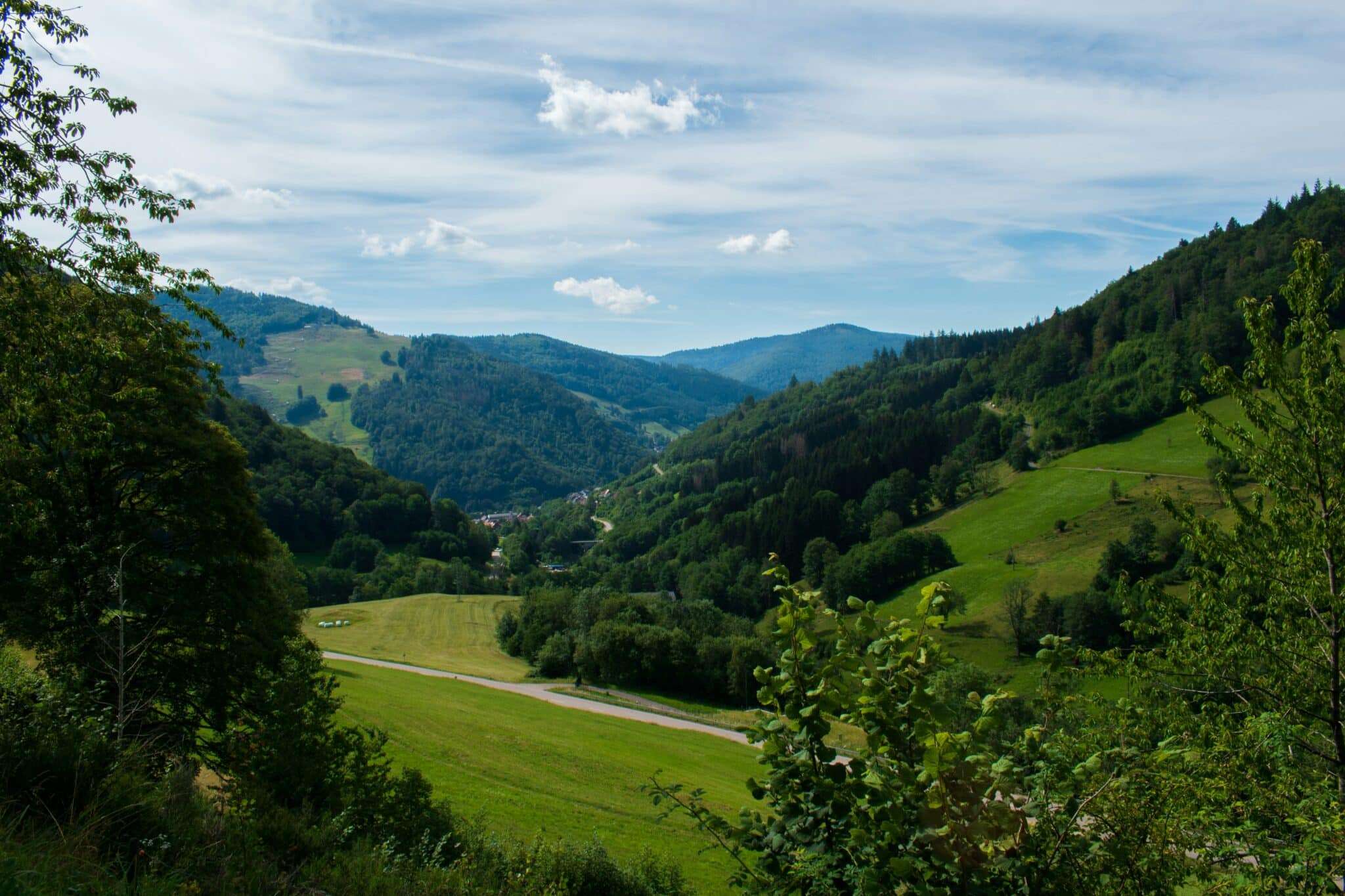 Forêt-Noire Schwarzwald avec son chien randonnée
