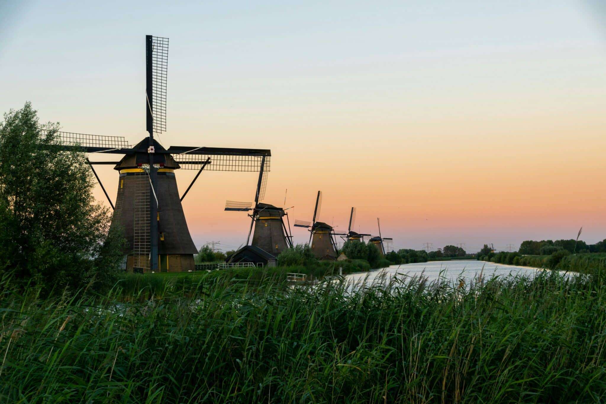 Moulins de Kinderdijk aux Pays-Bas avec un chien