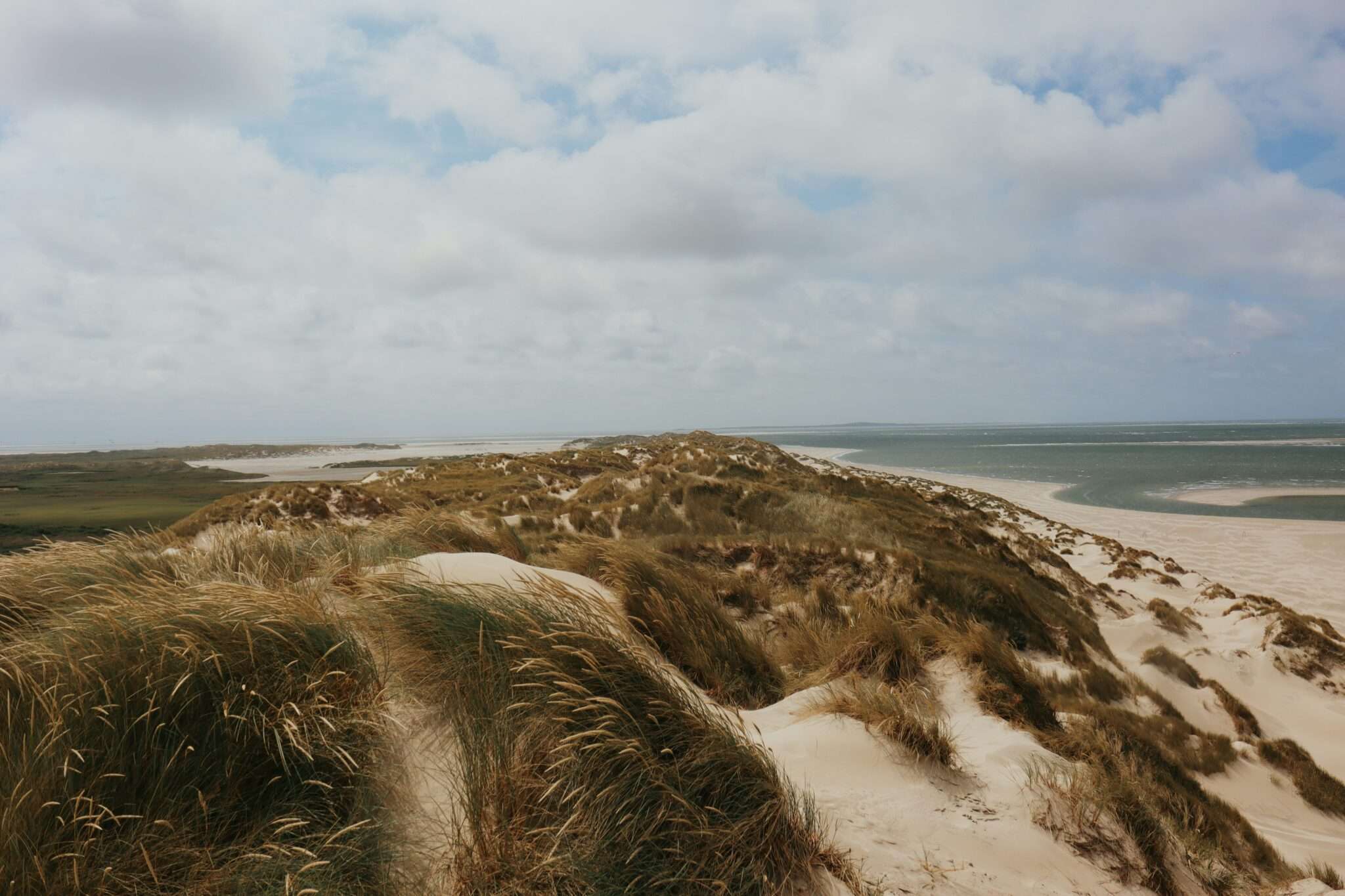Île d'Oléron plage dunes chien Charente-Maritime location vacances