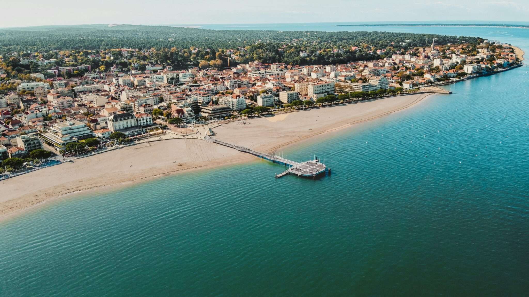 Bassin d'Arcachon : cabanes tchanquées et parcs à huîtres avec son chien
