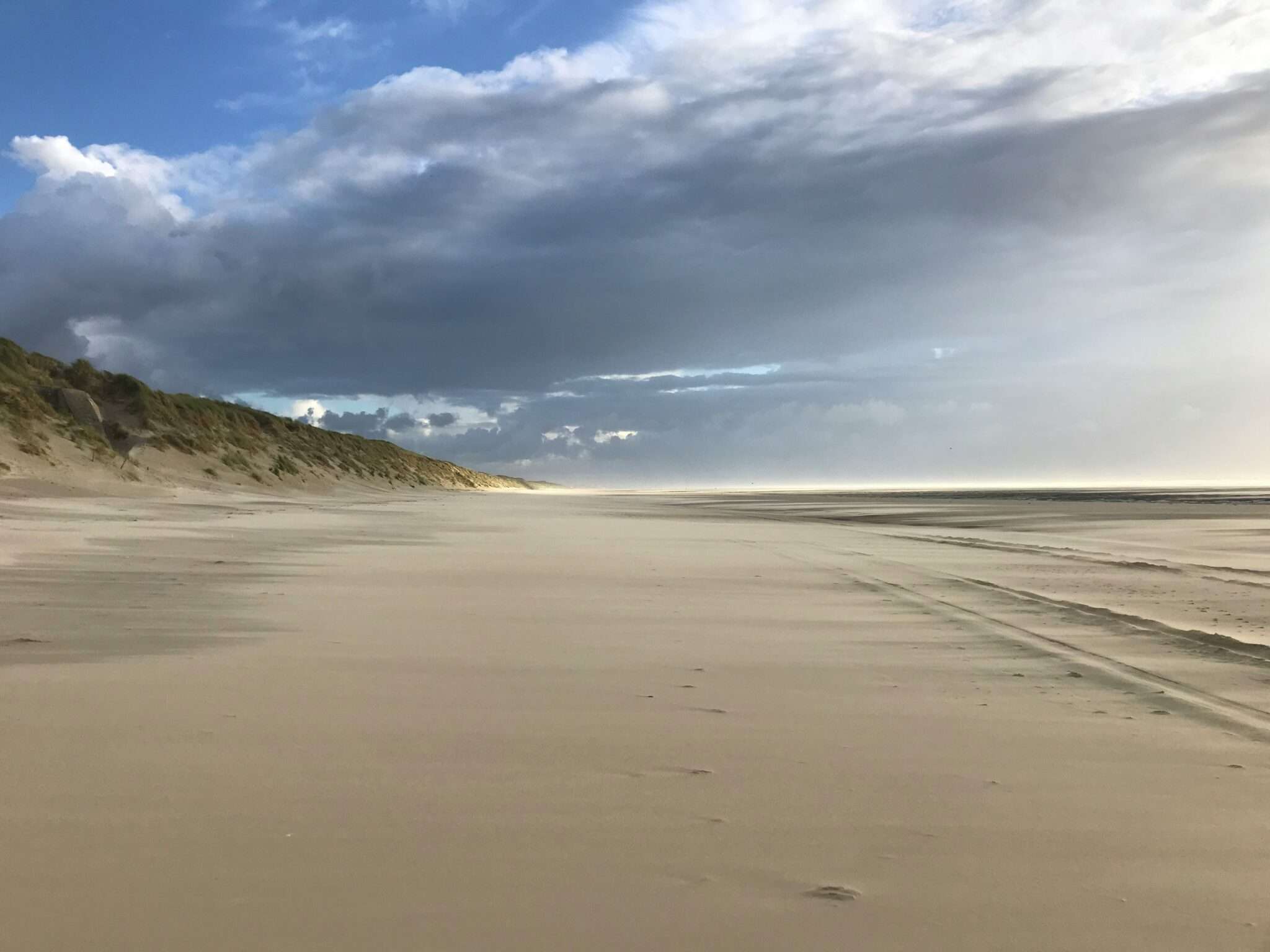 Le Touquet plage chien Pas-de-Calais location vacances dog-friendly
