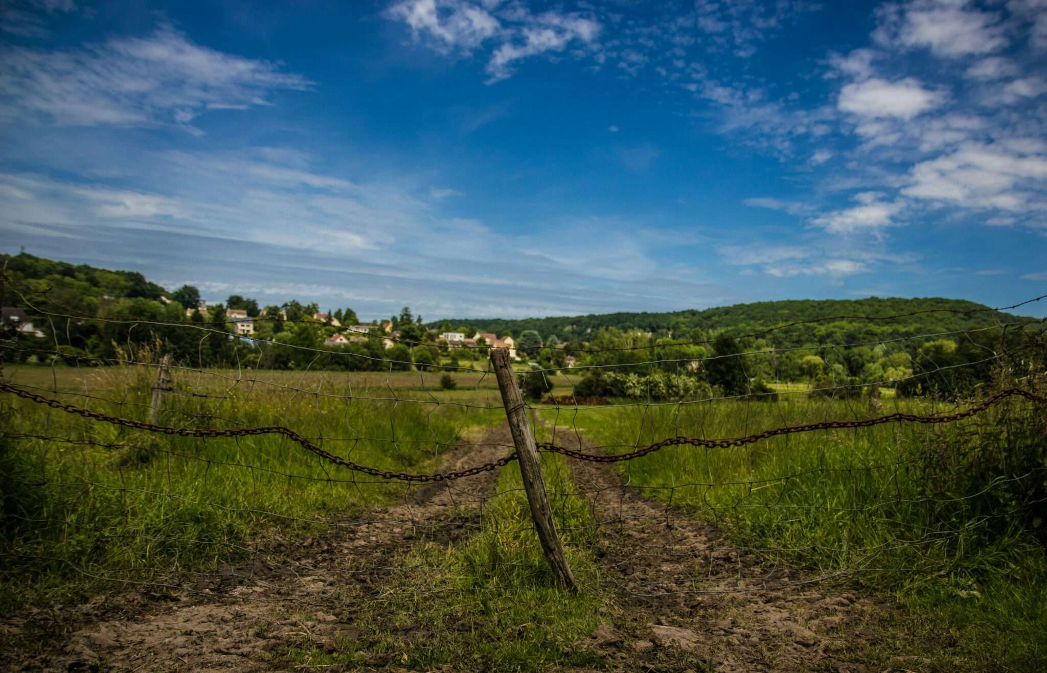 Vallée de Chevreuse avec son chien : sentiers médiévaux et nature préservée