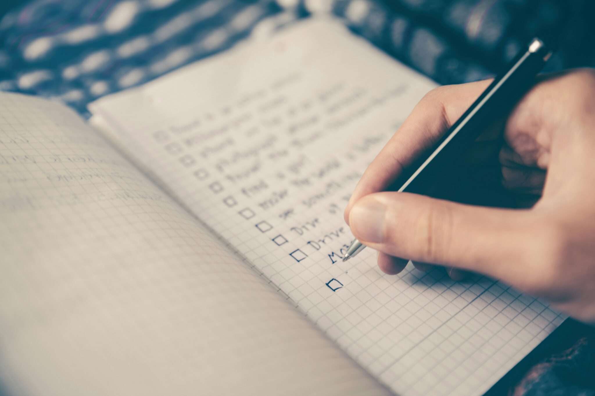 Checklist et préparation du voyage avec son chien