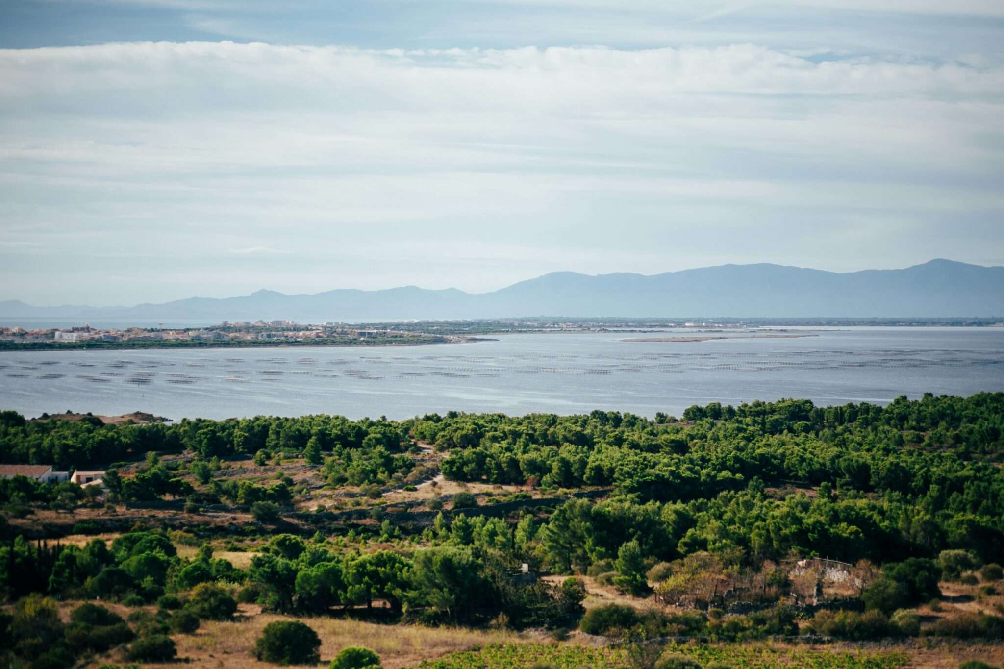 Leucate plage étang chien Aude location vacances Occitanie