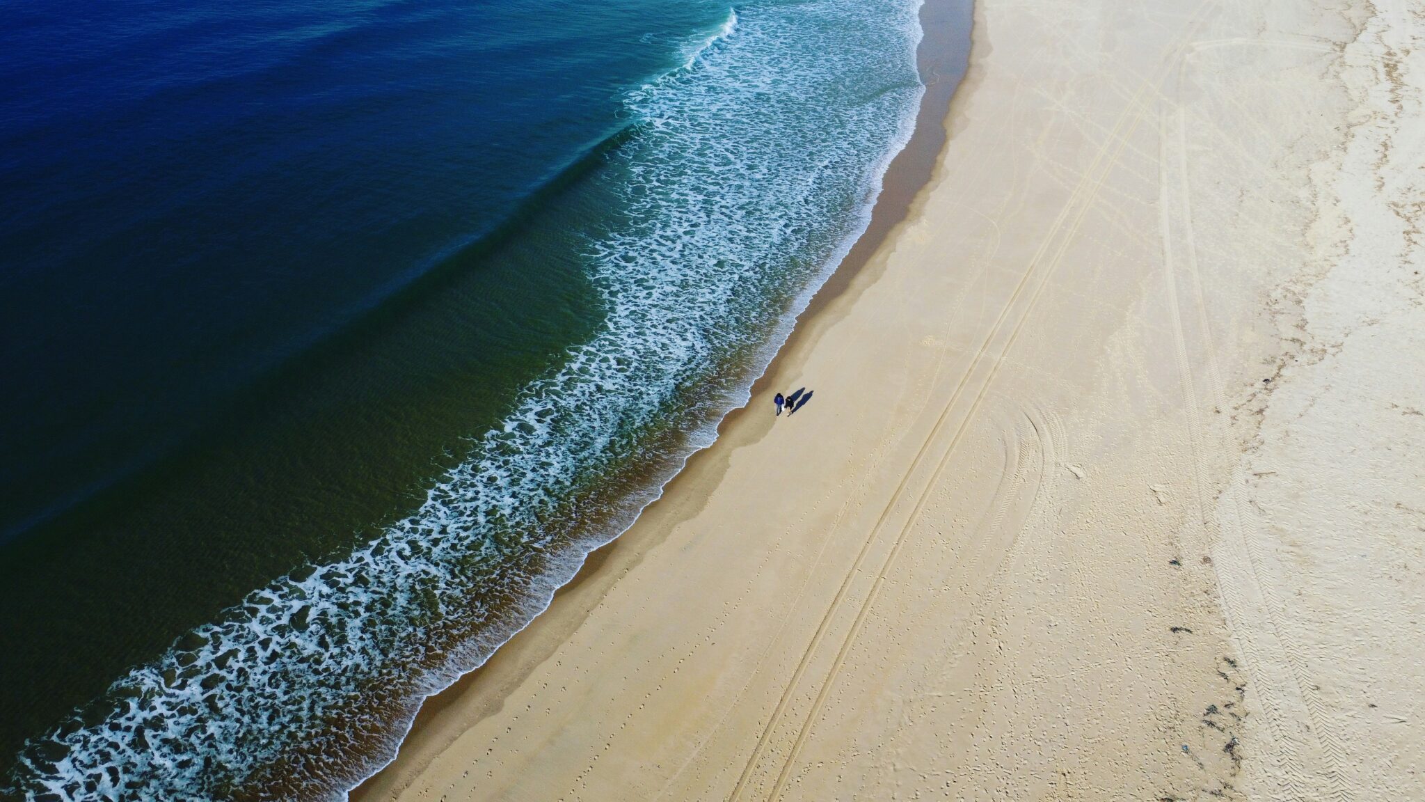 Plage de Capbreton avec son chien : bande de sable atlantique dans les Landes