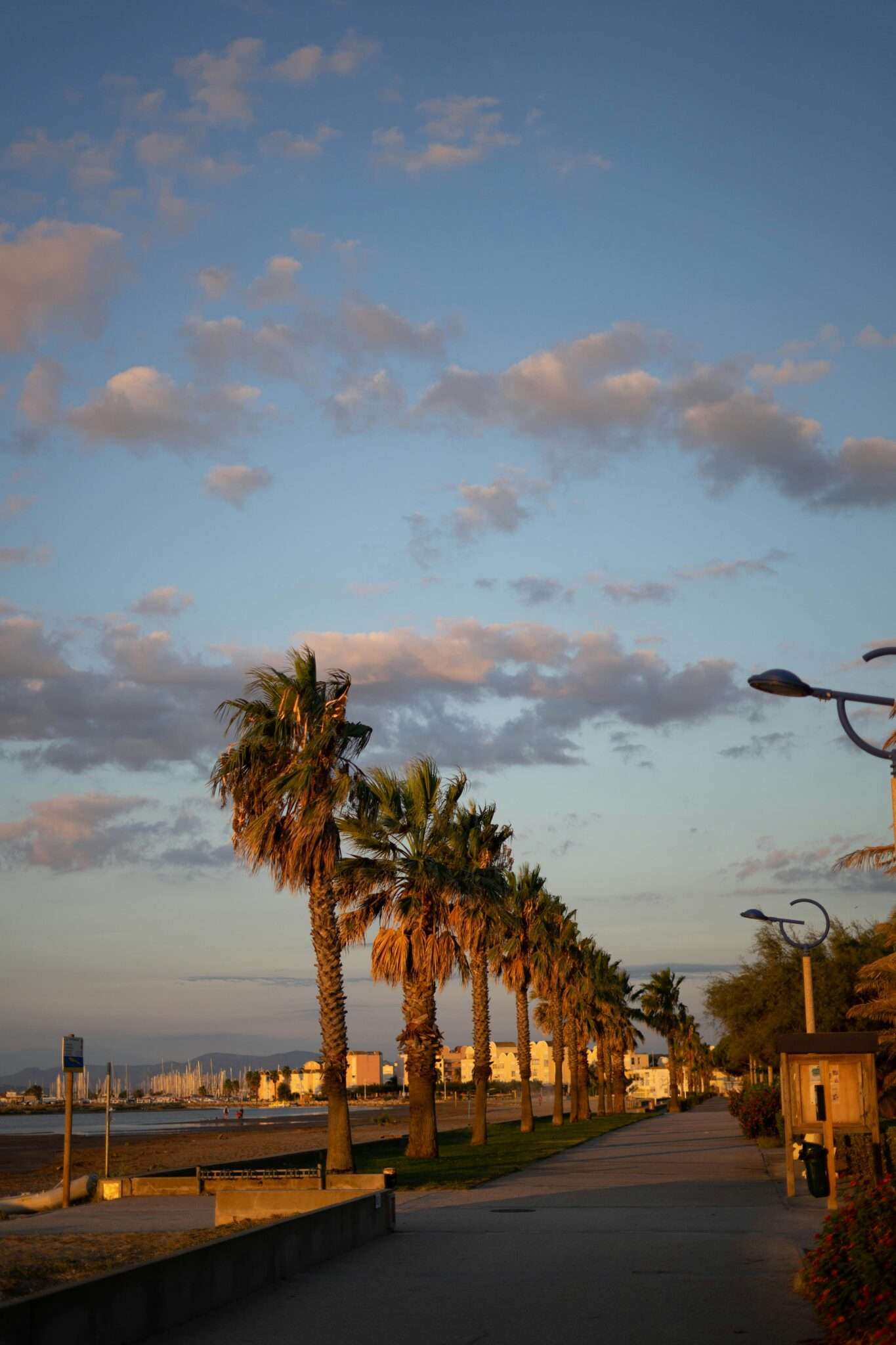 Gruissan plage Méditerranée chien Aude location vacances dog-friendly