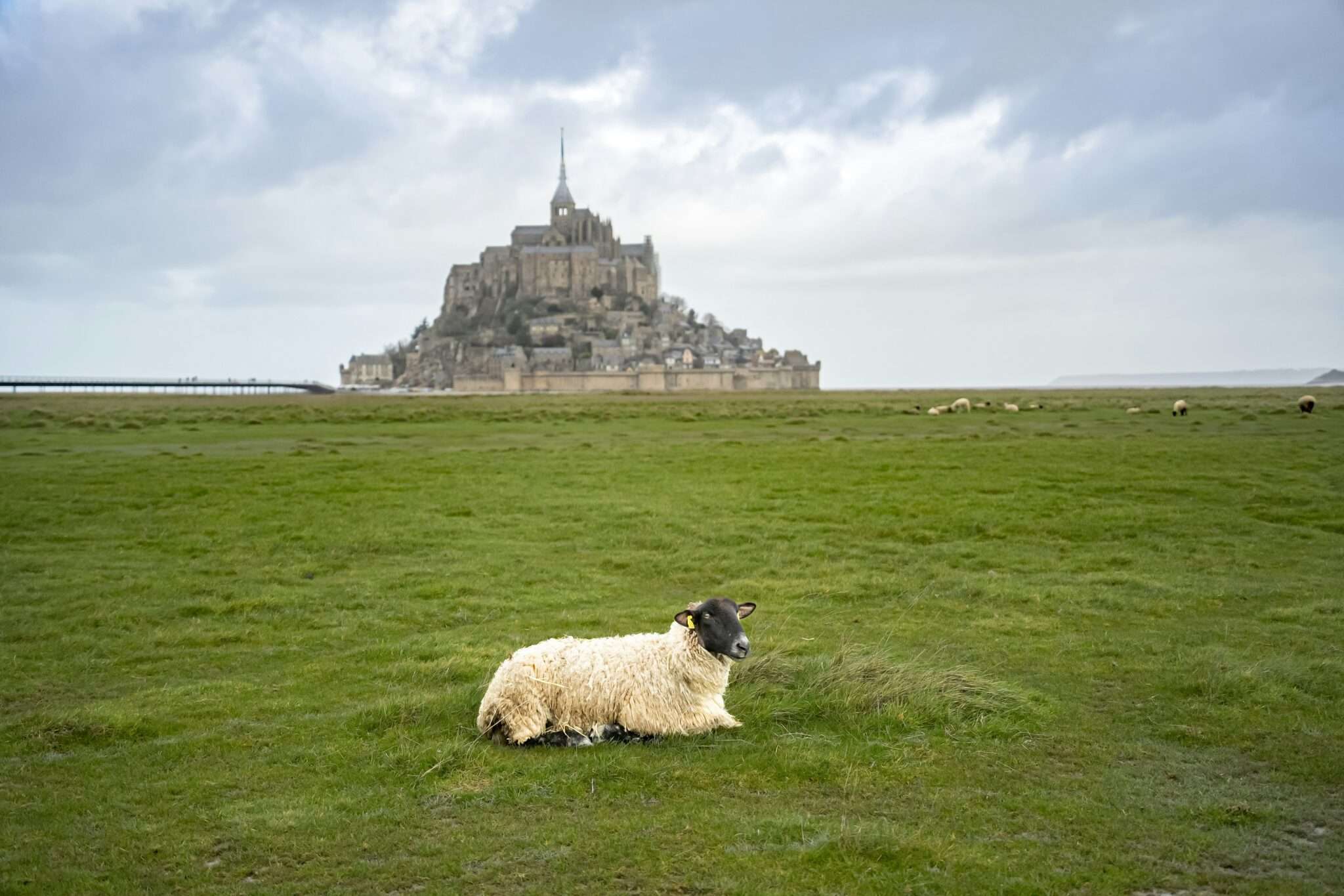 Le Mont-Saint-Michel depuis la baie en Normandie