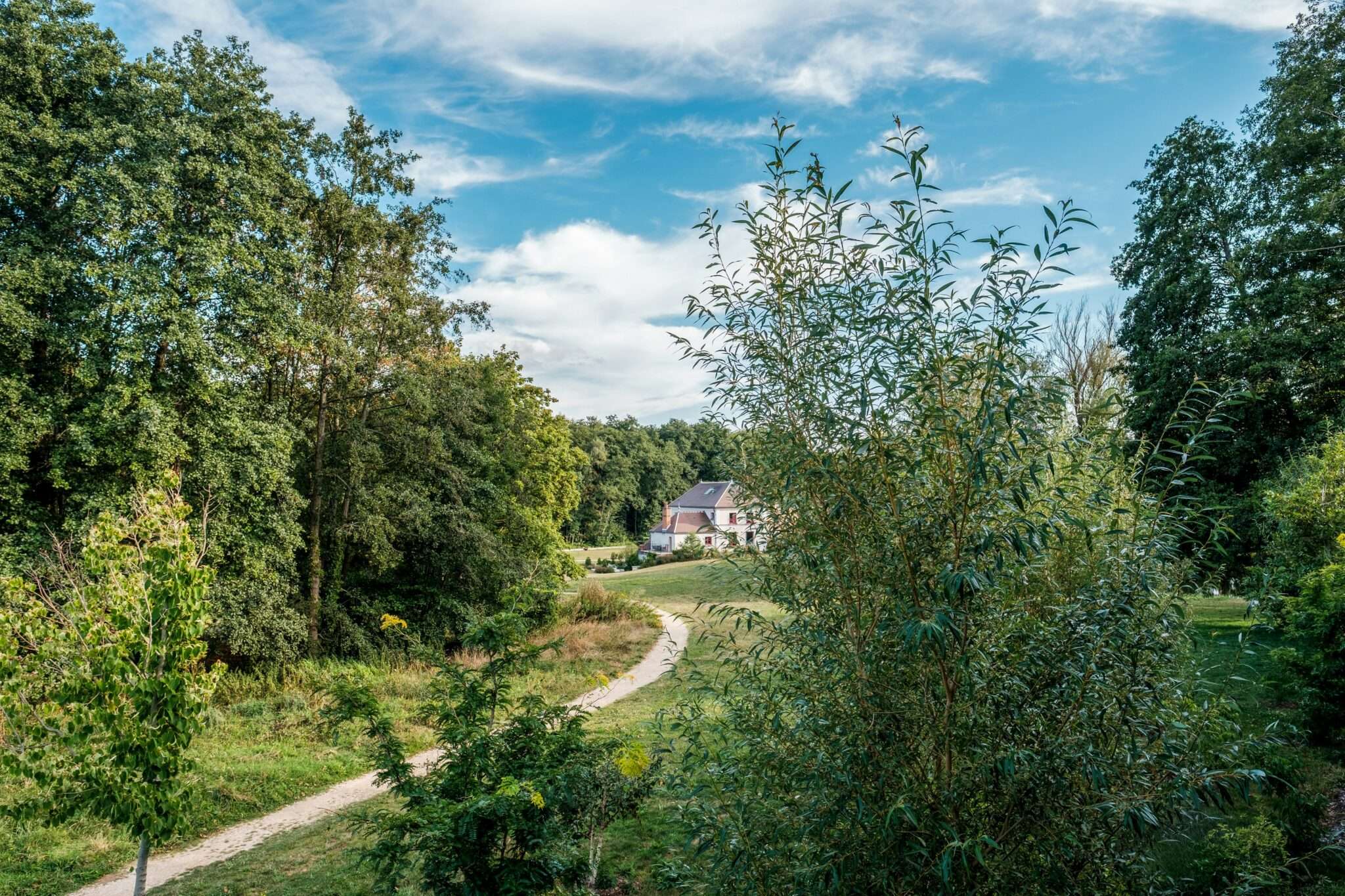 Forêt de Rambouillet avec son chien : étangs et forêt sauvage en Île-de-France
