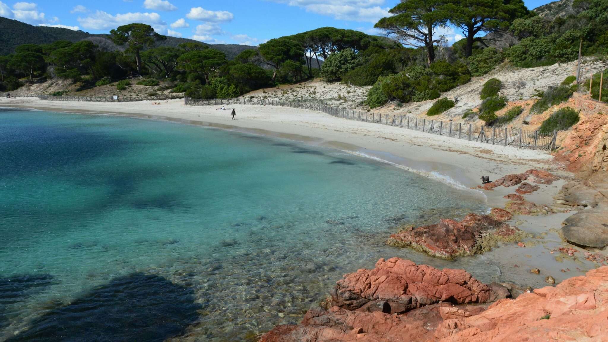 Palombaggia Porto-Vecchio Corse plage chien location vacances
