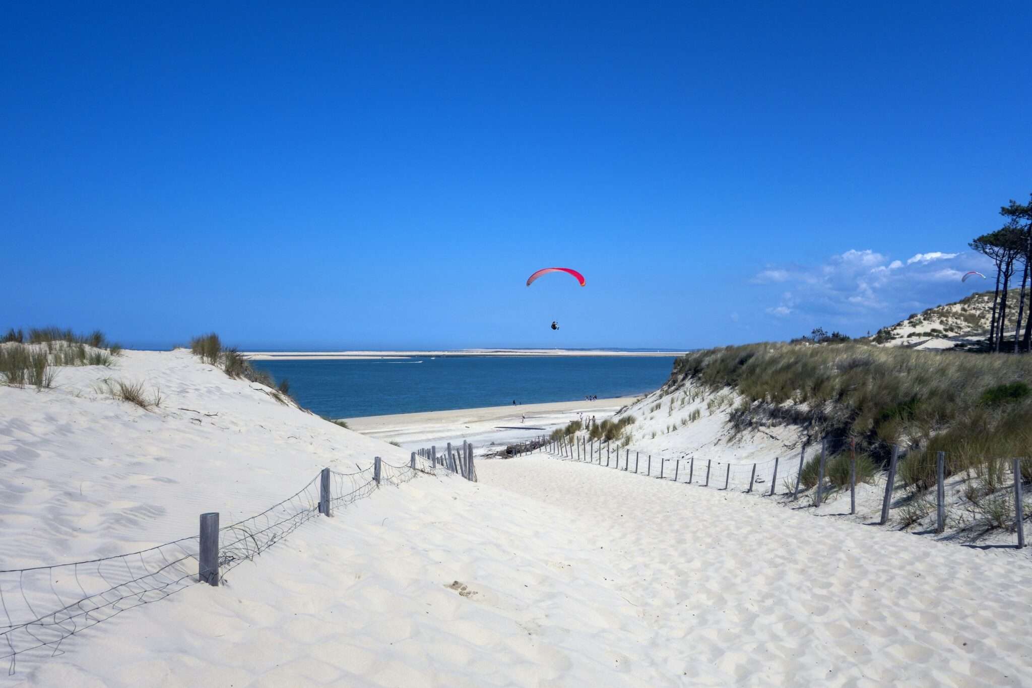 Plage des Landes sur la côte atlantique, accessible aux chiens