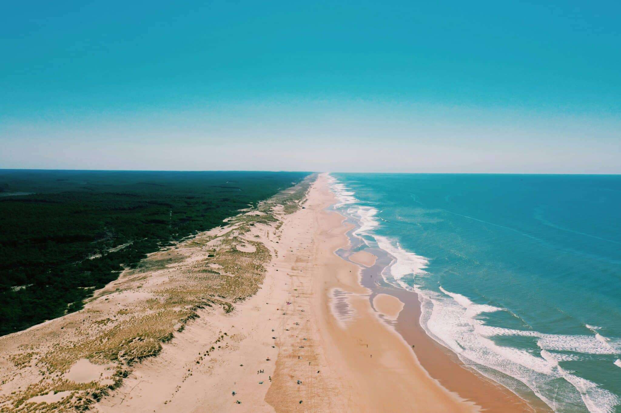 Plage de Lacanau avec son chien : bande de sable et vagues de l'Atlantique en Gironde