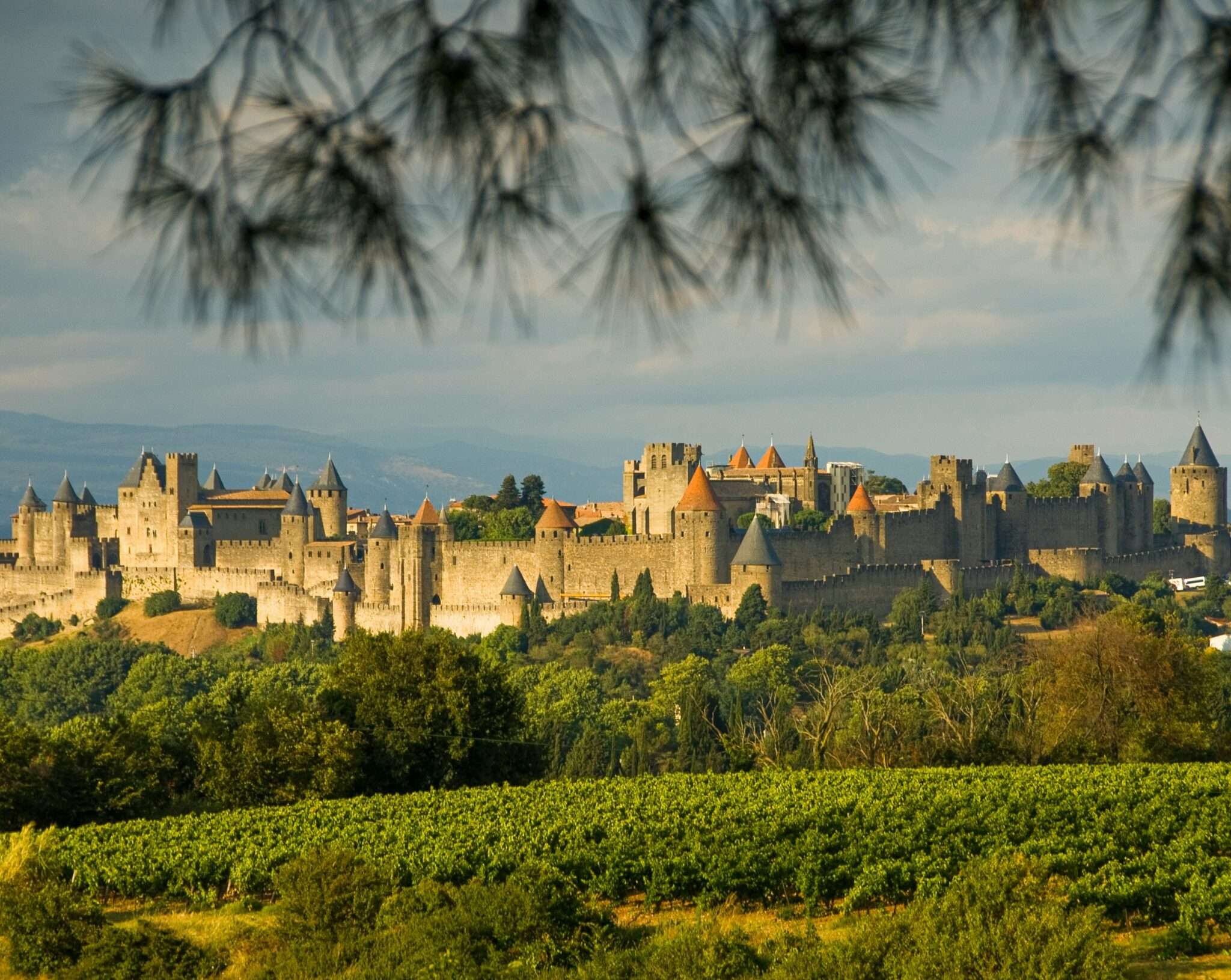 Cité médiévale de Carcassonne dans l'Aude