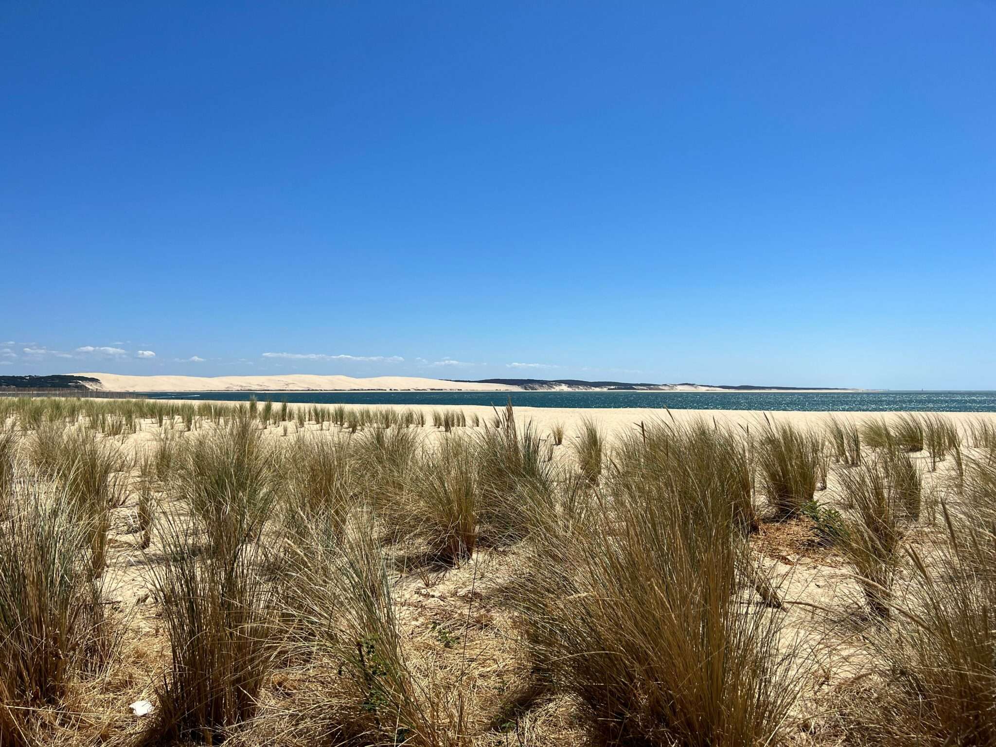 Paysage du Bassin d'Arcachon
