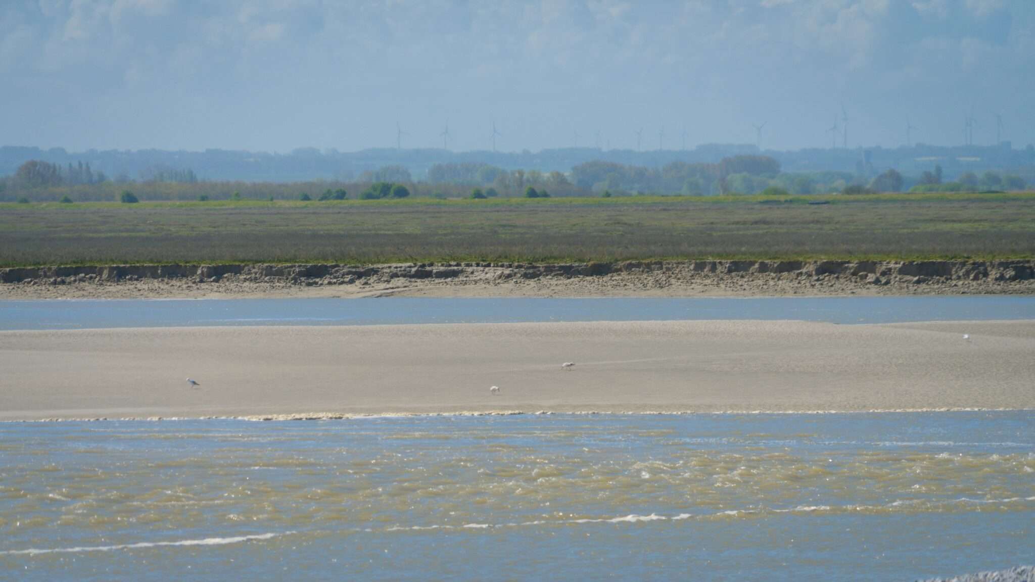 Grande plage de sable de la Côte d'Opale
