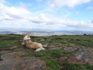 Paysage de montagne a Aragnouet ou les chiens sont acceptes
