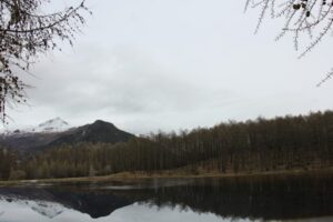 Paysage de montagne a Arvieux ou les chiens sont acceptes
