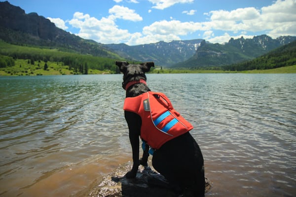 Paysage de montagne a Beaufort ou les chiens sont acceptes