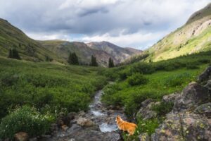 Paysage de montagne a Gavarnie-Gèdre ou les chiens sont acceptes