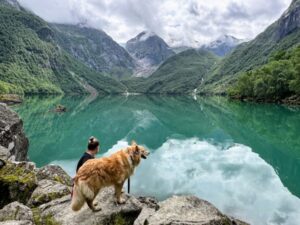 Paysage de montagne a Huez ou les chiens sont acceptes