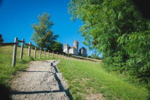 Paysage de montagne a Lovagny ou les chiens sont acceptes