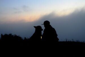 Paysage de montagne a Megève ou les chiens sont acceptes