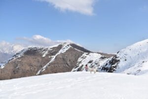 Paysage de montagne a Montgenèvre ou les chiens sont acceptes
