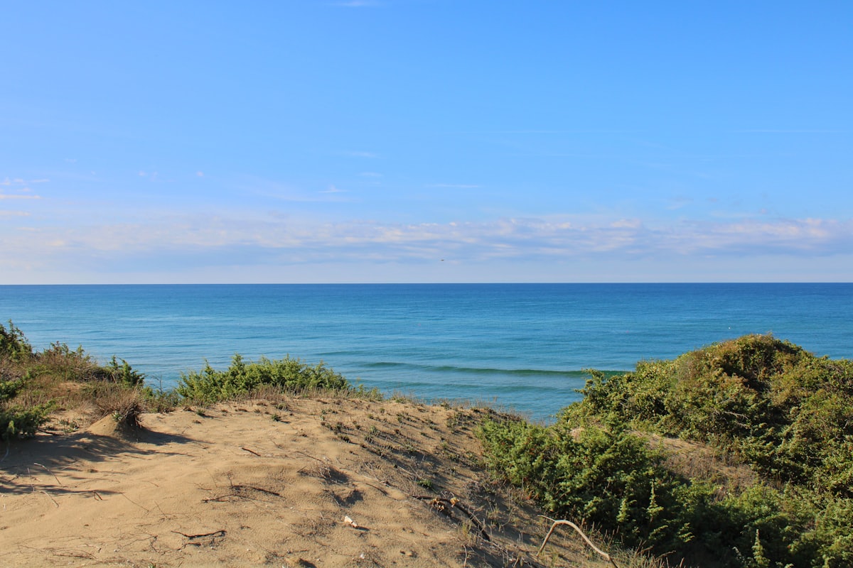 Dunes couvertes de végétation basse séparant un cordon de sable de la mer