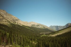 Paysage de montagne a Saint-Pierre-de-Chartreuse ou les chiens sont acceptes