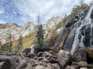 Paysage de montagne a Sixt-Fer-à-Cheval ou les chiens sont acceptes