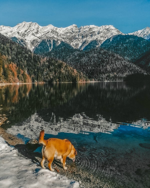 Paysage de montagne a Vars ou les chiens sont acceptes