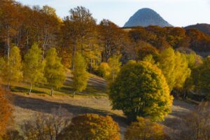 Arbres aux couleurs d'automne devant un sommet volcanique conique